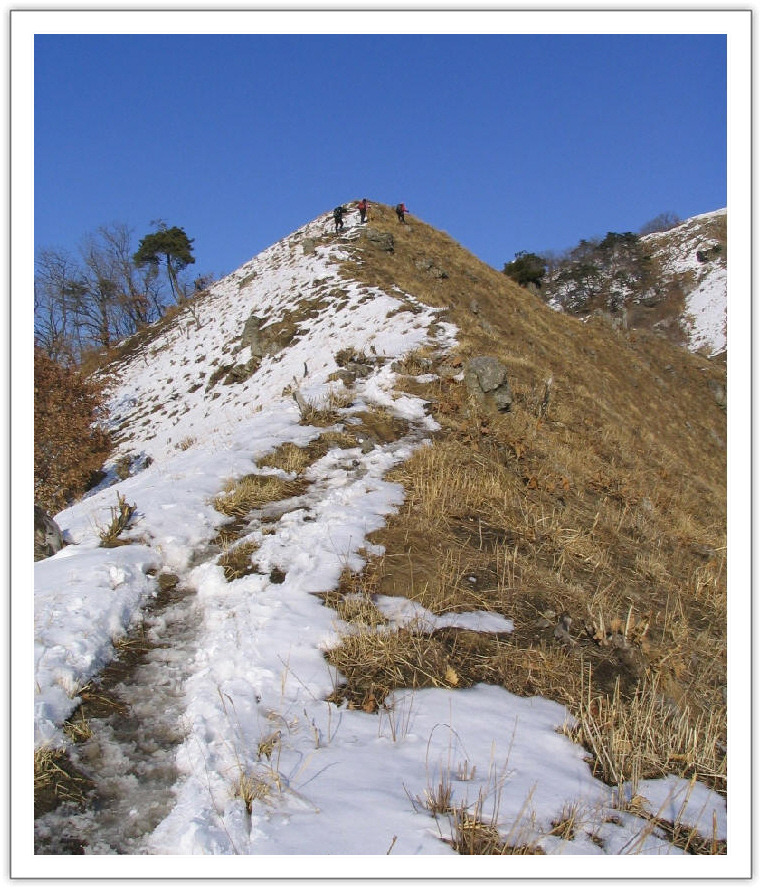 �̹����� Ŭ���ϸ� ������ ���� �� �ֽ��ϴ�.