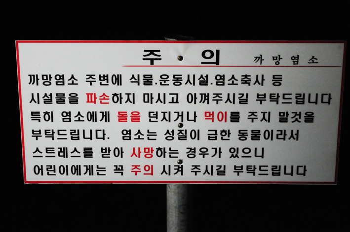 까망염소 이미지