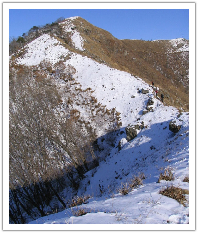 �̹����� Ŭ���ϸ� ������ ���� �� �ֽ��ϴ�.