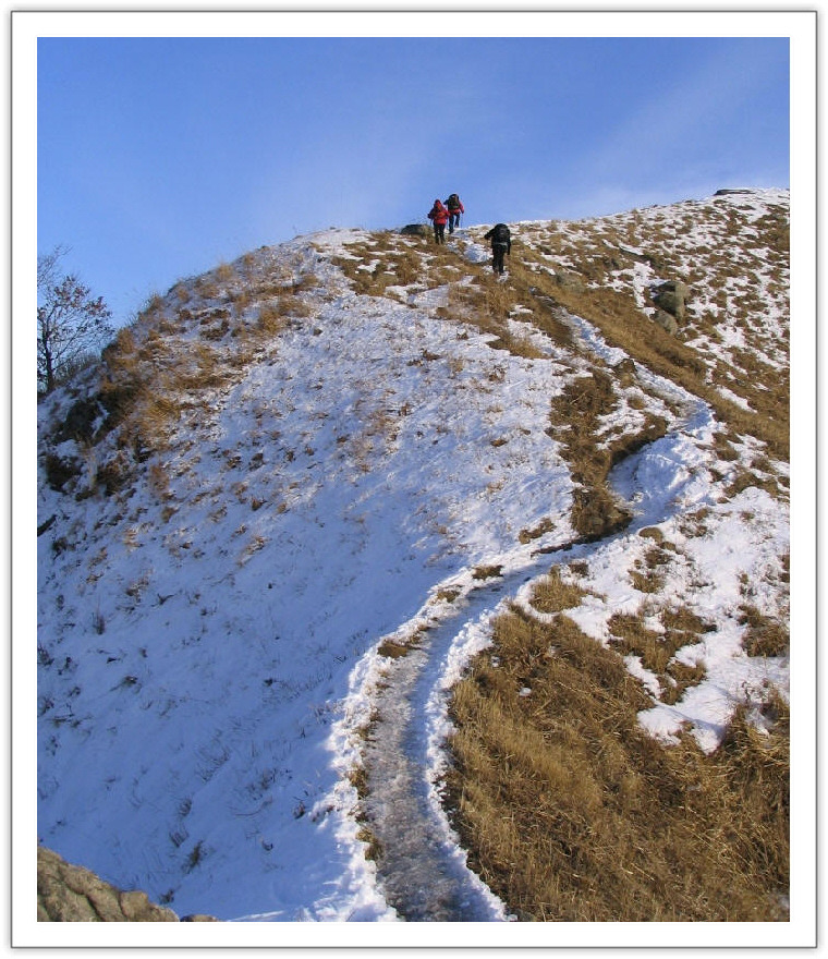 �̹����� Ŭ���ϸ� ������ ���� �� �ֽ��ϴ�.