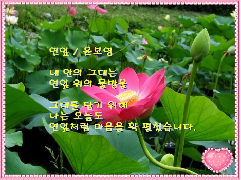 서로좋아 이미지