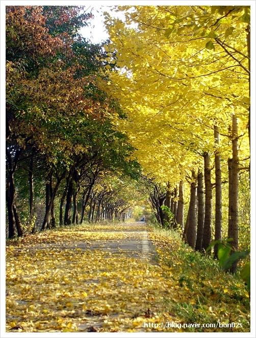 지역환경연구소 이미지